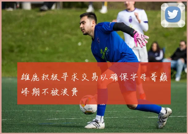 雄鹿积极寻求交易以确保字母哥巅峰期不被浪费