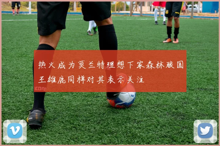 热火成为莫兰特理想下家森林狼国王雄鹿同样对其表示关注