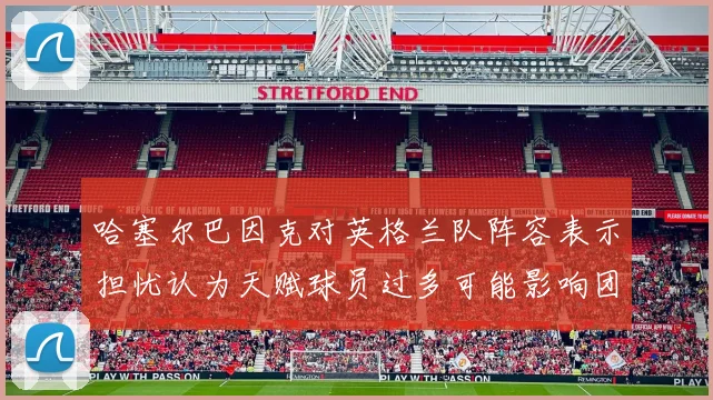哈塞尔巴因克对英格兰队阵容表示担忧认为天赋球员过多可能影响团队合作
