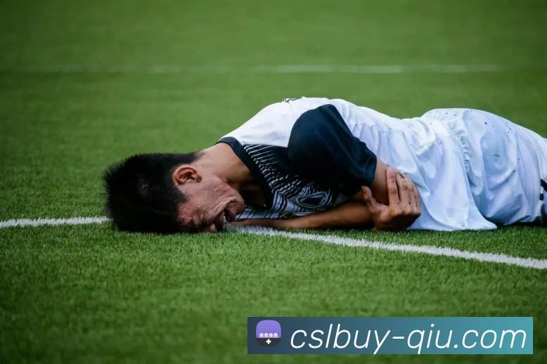 中超买球官网APP 封面图