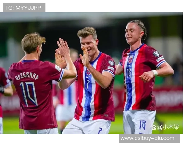 哈兰德在欧洲世预赛中独进9球超越39支球队的进球总和