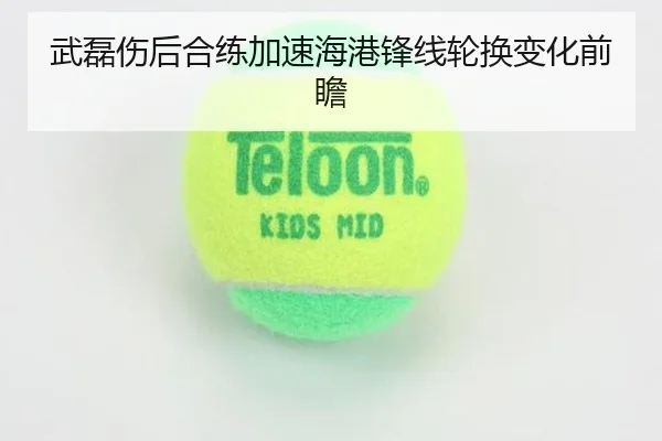武磊伤后合练加速海港锋线轮换变化前瞻 - CSLBuyBalls